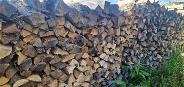 Abbildung: Brennholz 